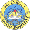 Wollo University