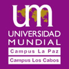 Universidad Mundial