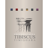 Universitatea Tibiscus din Timisoara
