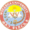 Wollega University